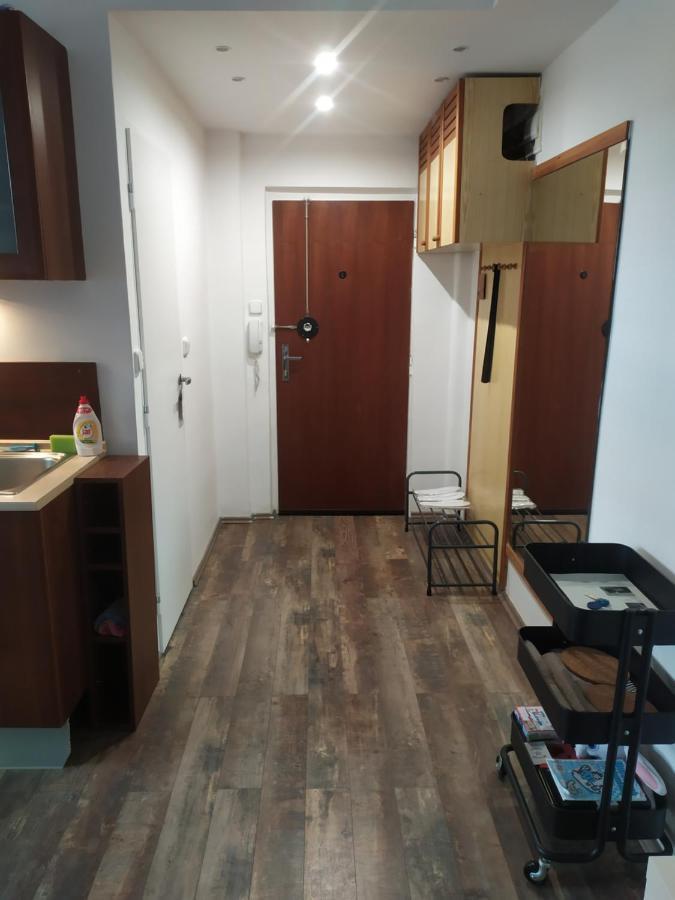 Pisqor Apartment - Self Check-In Братислава Экстерьер фото